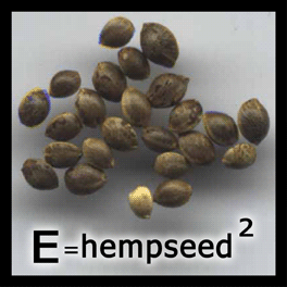 hempseedsquared