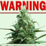 Cannabis Warning